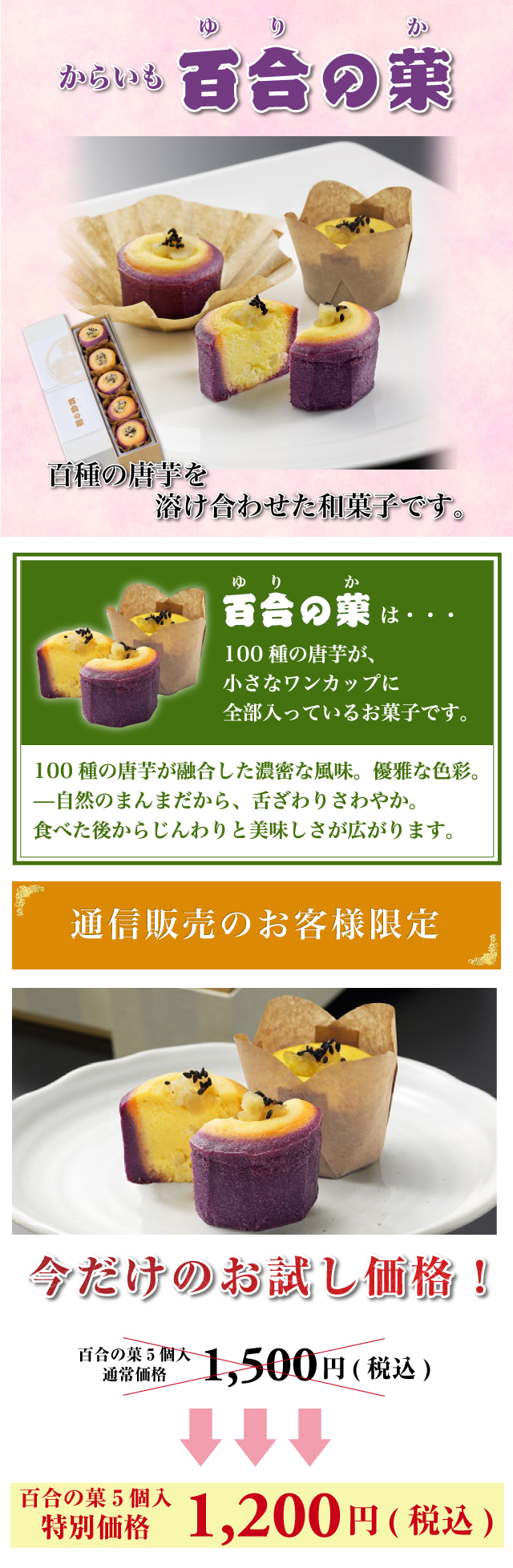 商品詳細 唐芋菓子専門店festivalo フェスティバロ 商品詳細 唐芋菓子専門店festivalo フェスティバロ